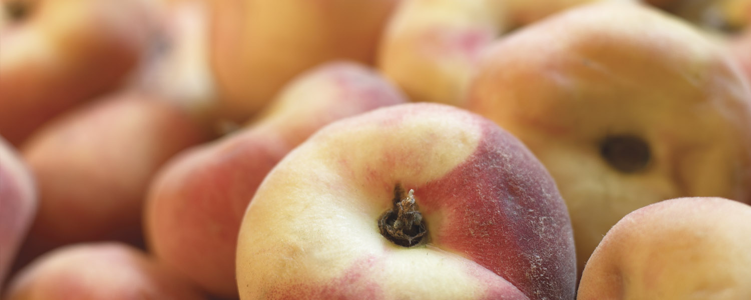 WM_Organic_Dep_1500x600_New