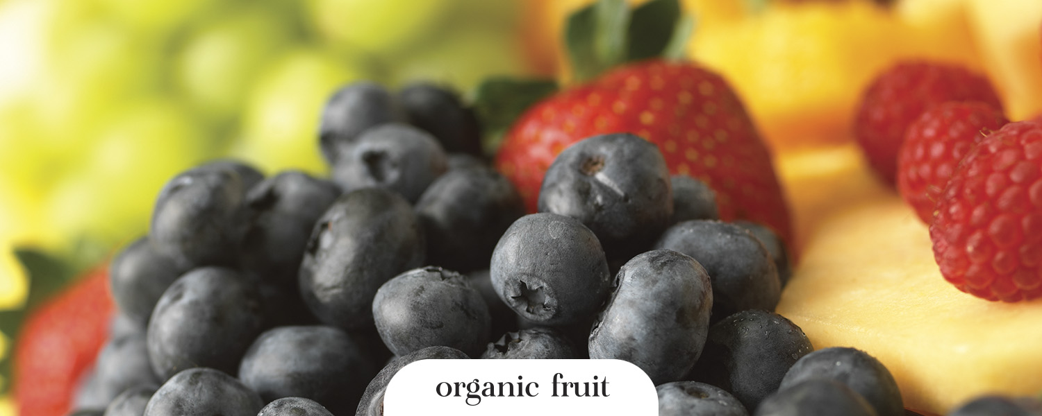 Erminas_1500x600_Organic Fruit