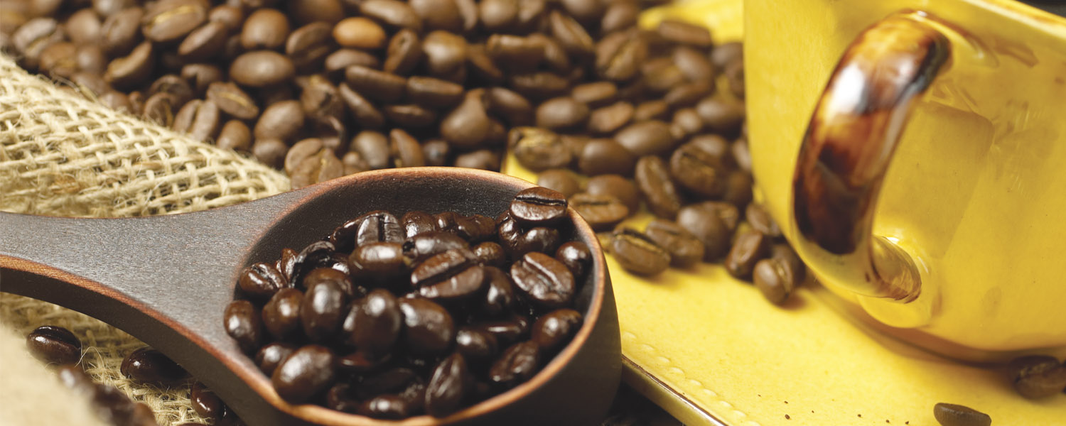 WM_Coffee_Dep_1500x600_New