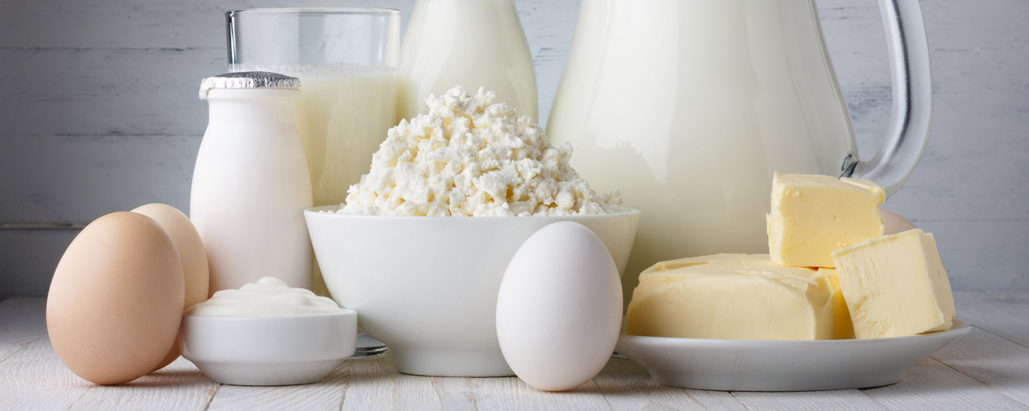 WM_Dairy_Dep_1500x600_New